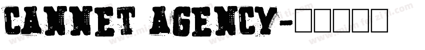 CANNET AGENCY字体转换